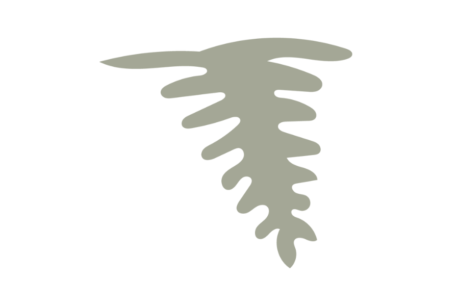 Artisanal Craftsmanship in Portugal - Rooh Footwear