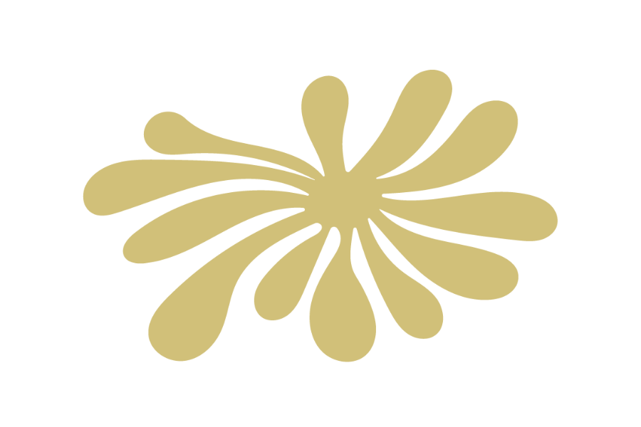 Expertise by Design - Rooh Footwear